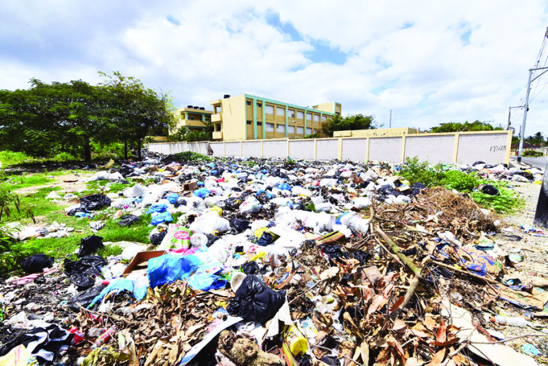 El entorno de la Escuela Primaria Profesor Rafael Delgadillo está repleto de desperdicios.