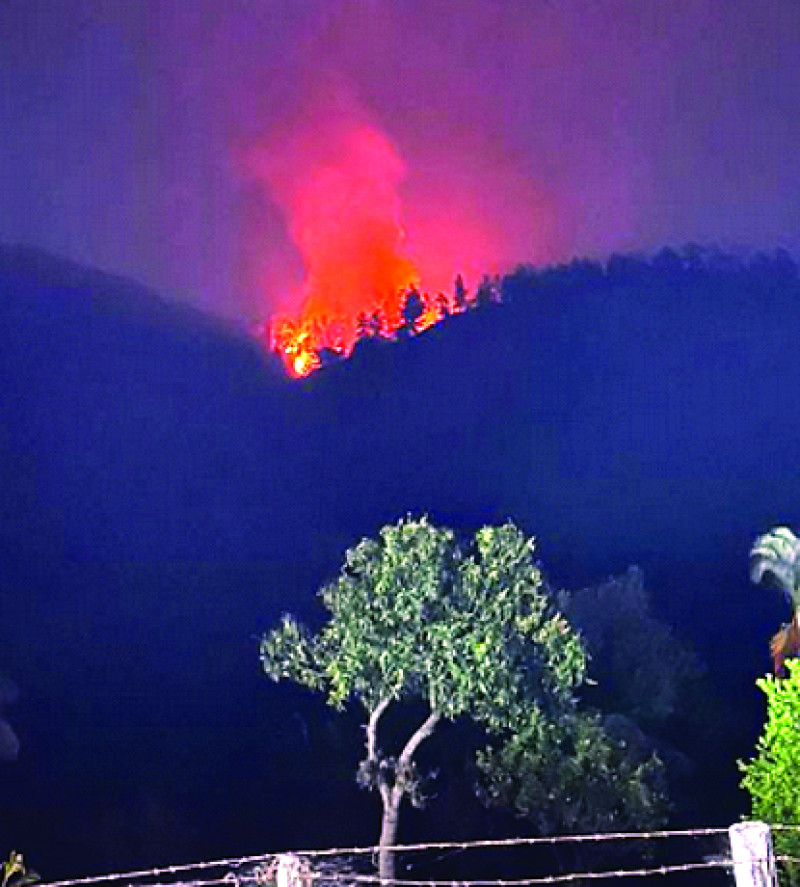 Al menos 300 tareas de pinos han sido afectadas por los incendios forestales en Jarabacoa.