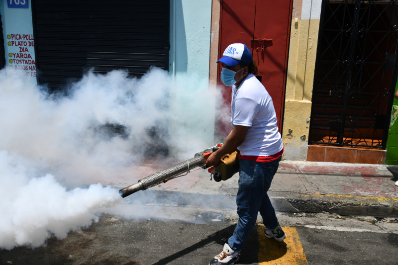 En Santiago, Salud Pública realizará operativos de fumigación en sectores proclives a la reproducción del mosquito transmisor del dengue.