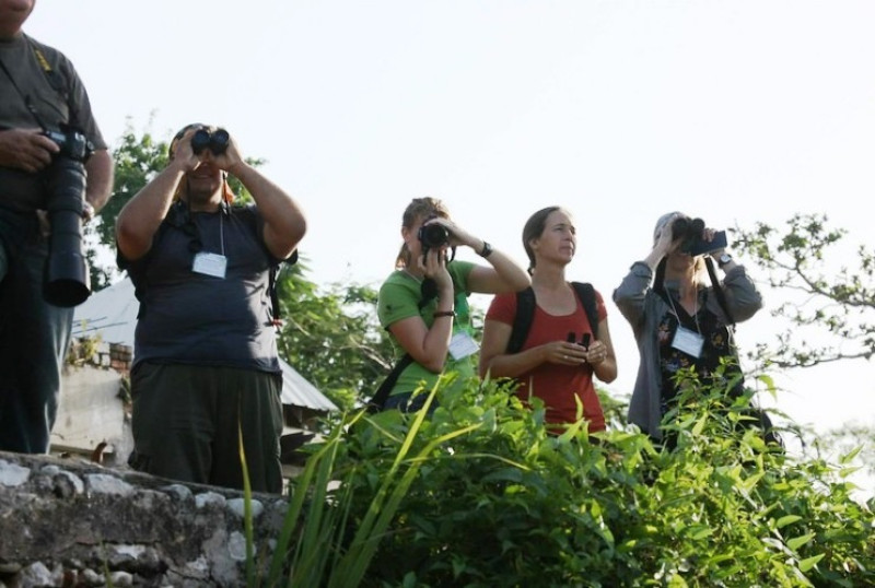 Observando aves y tomando fotos en la 22 Conferencia Internacional BirdsCaribbean celebrada en Jamaica.