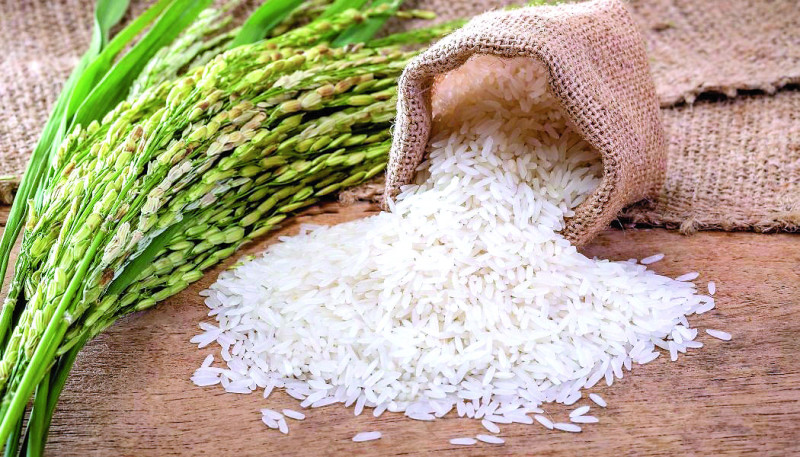 El director ejecutivo de Pro Consumidor, Eddy Alcántara, dijo que las pruebas al arroz fueron hechas tras denuncias expuestas en diferentes medios de comunicación.