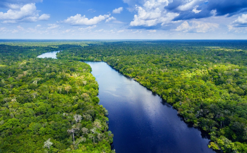El río Amazonas a su paso por Brasil.