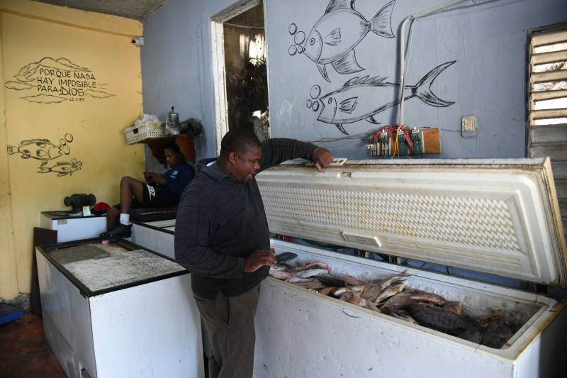 Wilkin dentro de su pescadería