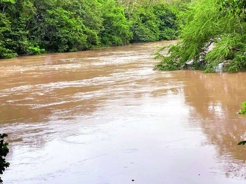 Los afluentes de agua arrastran altas corrientes que han causado importantes inundaciones en distintos sectores.
