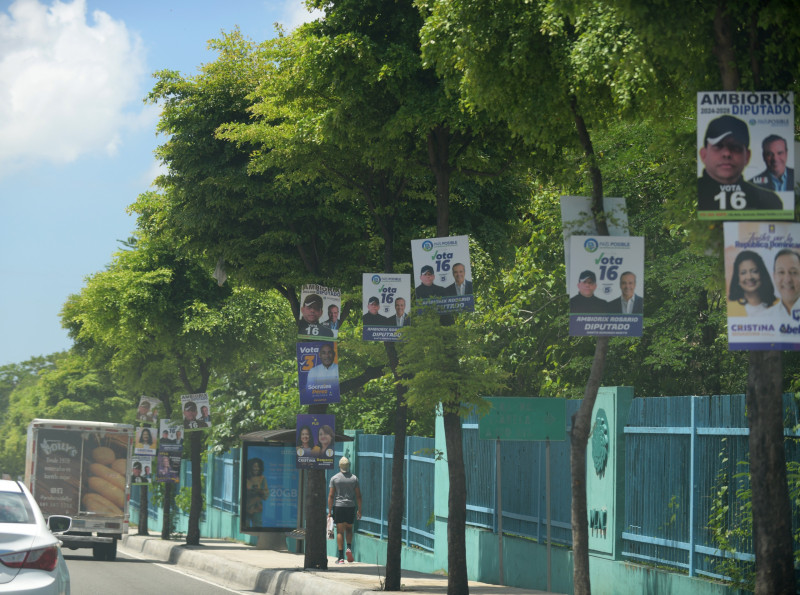 Ni siquiera los árboles en zonas verdes de la ciudad de Santo Domingo se han salvado de ser clavados para colocar cartelones con propaganda electoral.