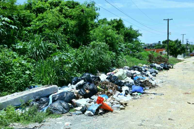 Basurero improvisado en el sector residencial Brisa Oriental, en Santo Domingo Este.