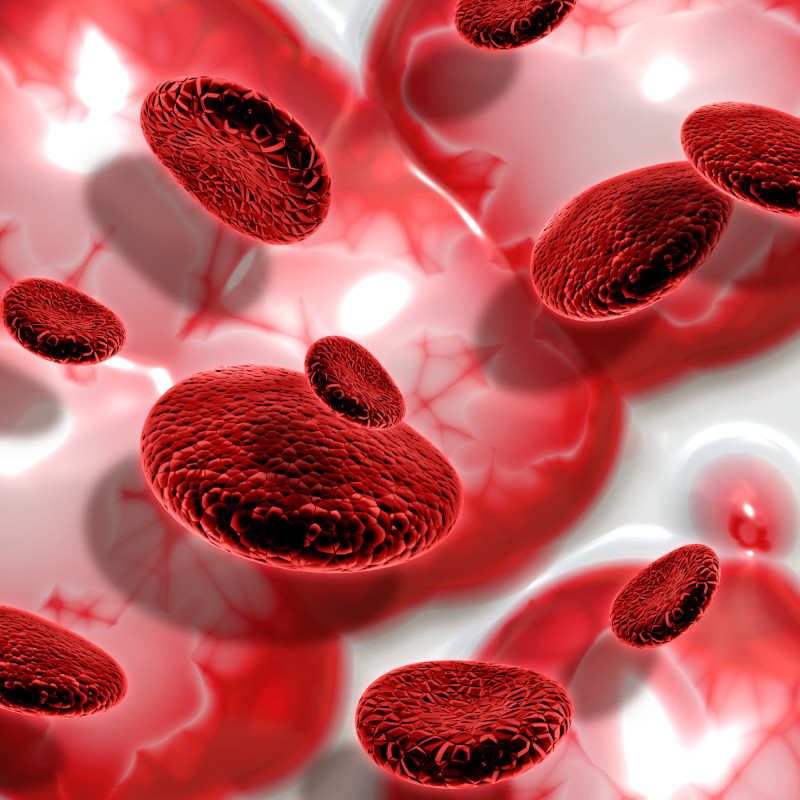 Recreación informática de un grupo de células sanguíneas en 3D.