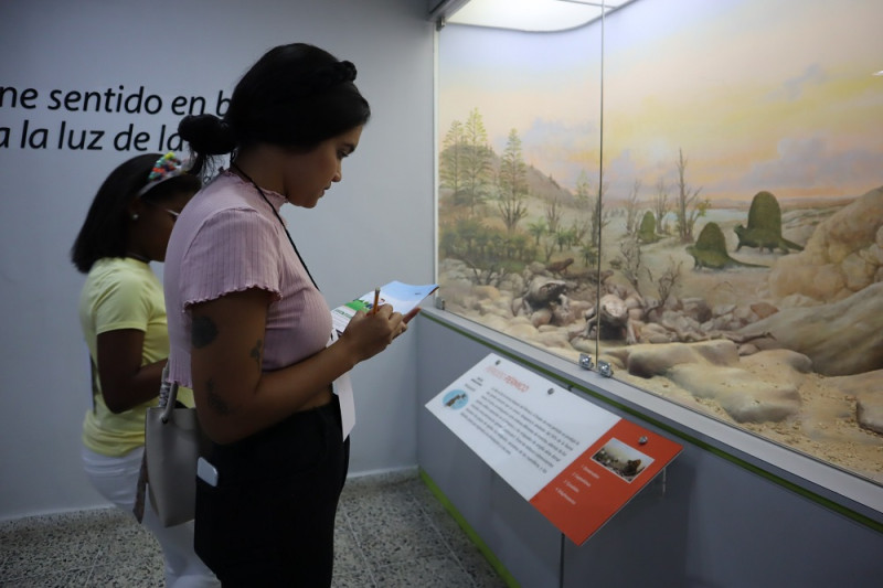 Los equipos participantes deberán recorrer el Museo en un tiempo determinado.