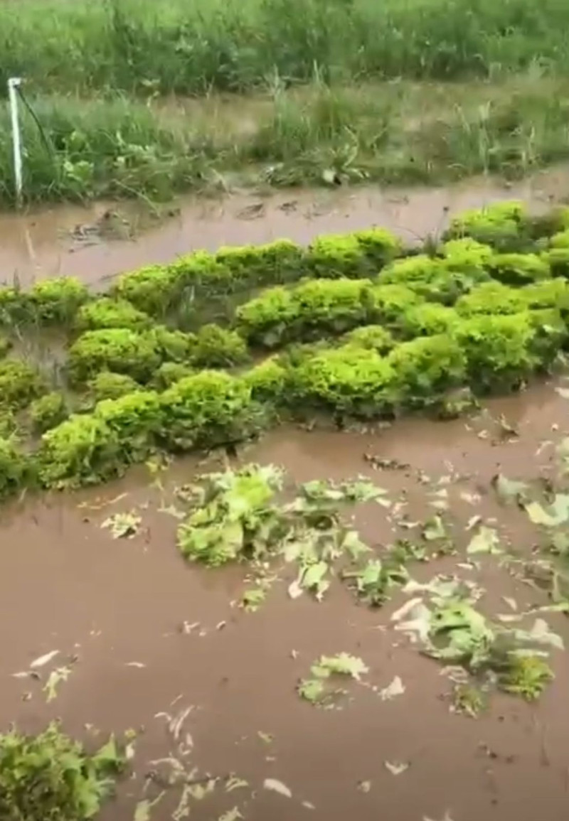 Inundaciones en inicios de junio, en Constanza.