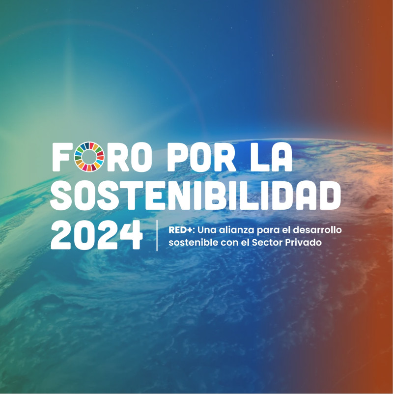 El foro está dirigido a líderes empresariales, representantes de organizaciones no gubernamentales, académicos, profesionales de desarrollo, funcionarios públicos, sociedad civil y otros actores interesados.