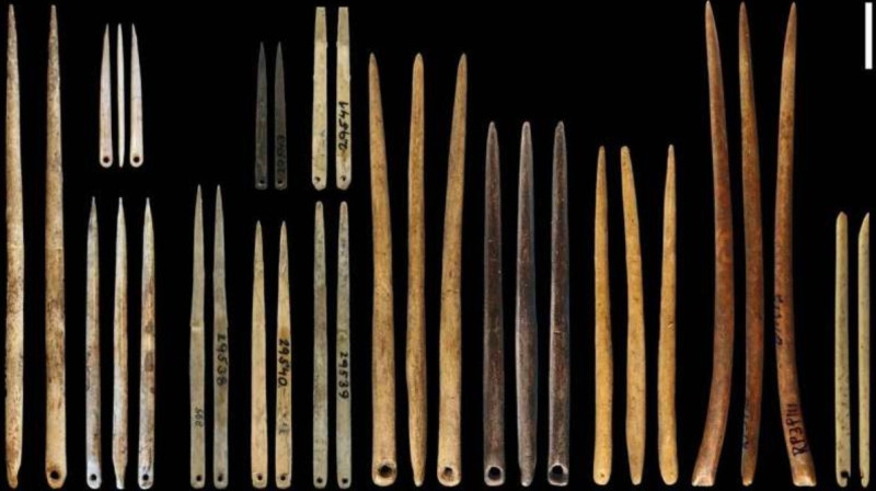 Muestrario de agujas excavadas en yacimientos arqueológicos.