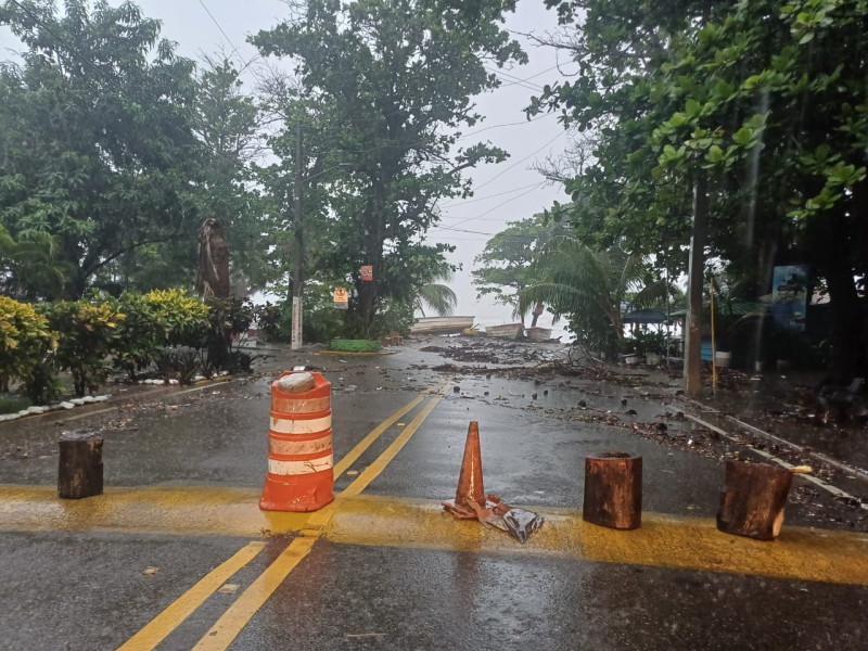Las lluvias y vientos derribaron árboles, tumbaron el servicio de electricidad y obligaron a las autoridades a cerrar el tránsito en las playas de Baní.