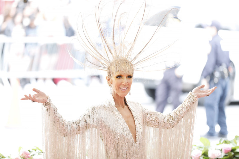 Celine Dion, una celebridad de la música que pasa por momentos complicados por una rara enfermedad. EFE/Justin Lane