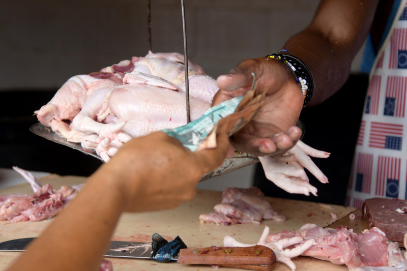 La especulación ha dejado un estado vaivén e inestabilidad en el precio de la carne de pollo