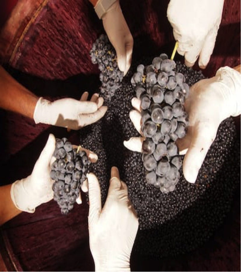 Bodegas Valduero es pionera del vino hecho “a mano”. Y ese trabajo de artesanía, esfuerzo y mimo les permite alcanzar unos resultados excepcionales.