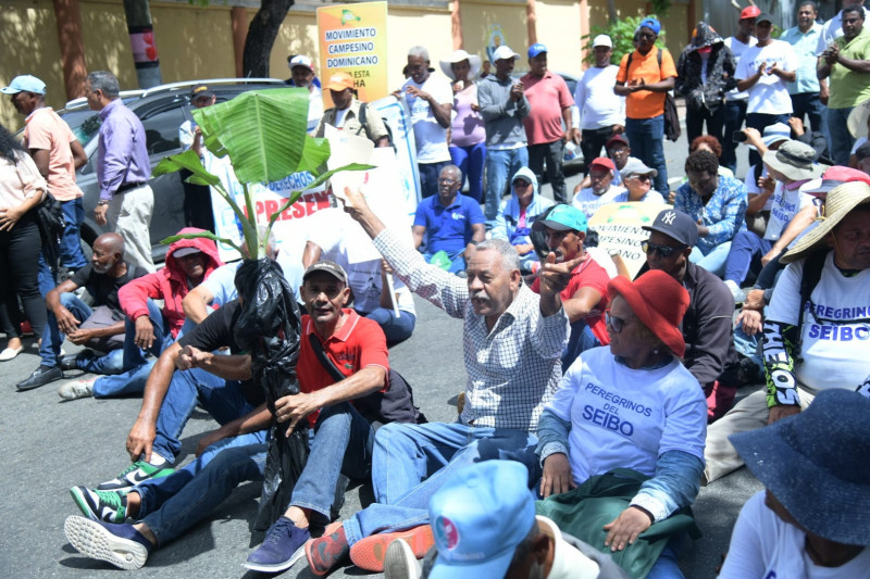 Peregrinos de Hato Mayor que llegaron ayer al Palacio Nacional para reclamar terrenos.