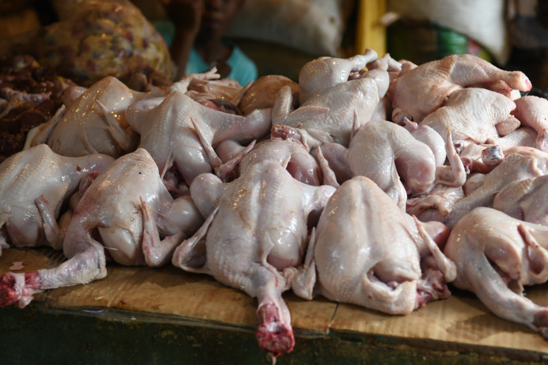 Unidades de pollos exhibidos en un local del Mercado Nuevo de la Duarte.