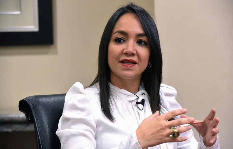 Faride Fadul, senadora, recién designada ministra de Interior y Policía.