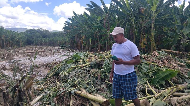 Las lluvias del pasado jueves arrasaron las plantaciones en la provincia Bahoruco.