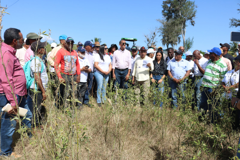 Productores de San Juan.