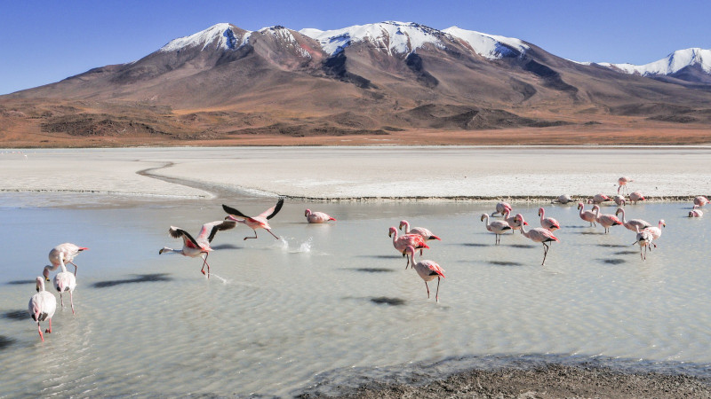 Salar de Uyuni, Bolivia.