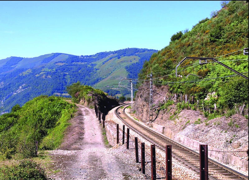 El ferrocarril Internacional Nordeste-Dominicana-Haití, forman parte de las propuestas que hace el Consejo Regional de Desarrollo (CRD) para la Región Nordeste del país.