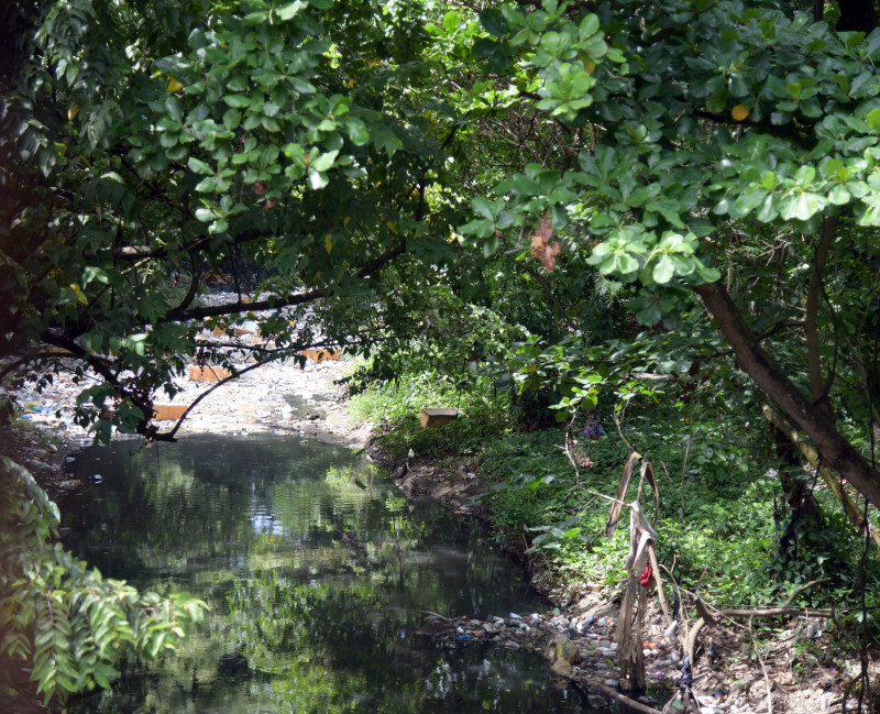 Una cañada que pasa por el parque requiere ser saneada.