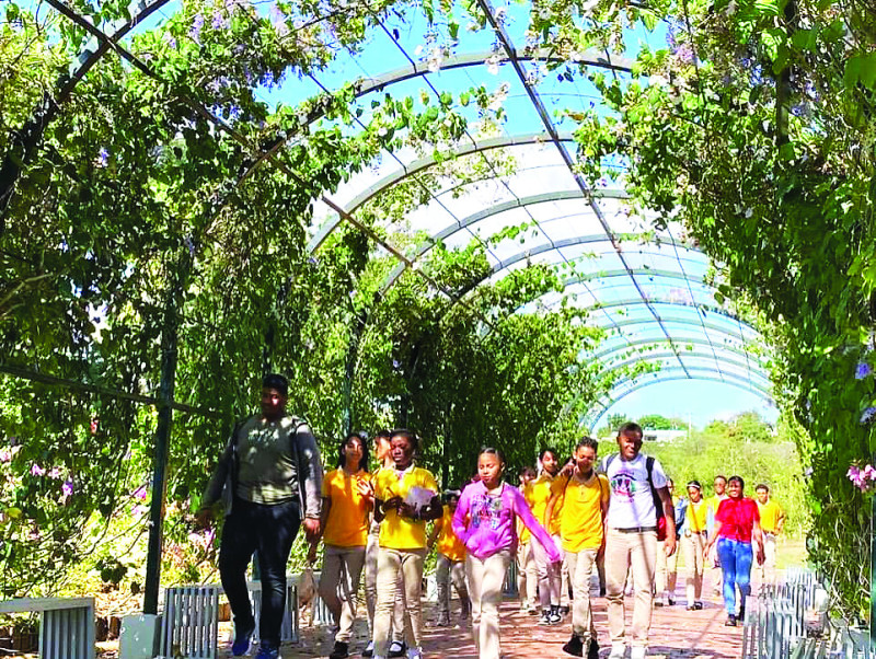 Escolares asisten al botánico para conocer más de la naturaleza.