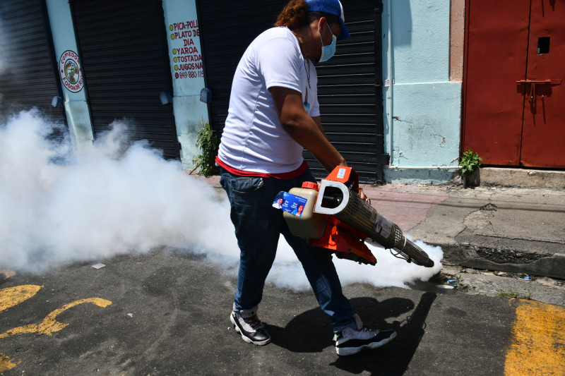 Para prevenir el dengue, las autoridades enfatizan en la fumigación y en las campañas de orientación ciudadana.