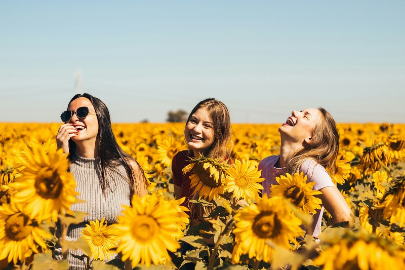 Jóvenes sonrientes, entre girasoles.