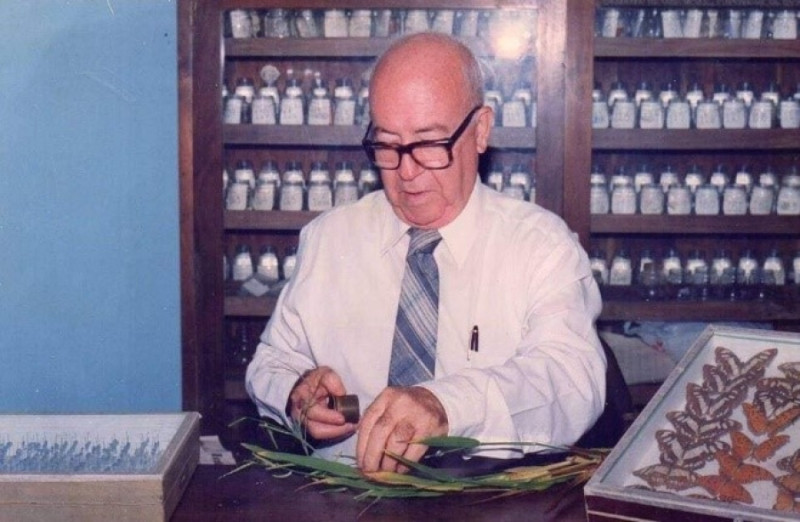 El profesor Marcano en “La cueva de Marcano”, su oficina, laboratorio, herbario y aula en la Universidad Autónoma de Santo Domingo.