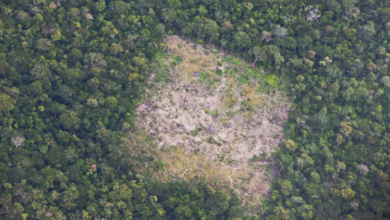 Deforestación en la Amazonía boliviana.