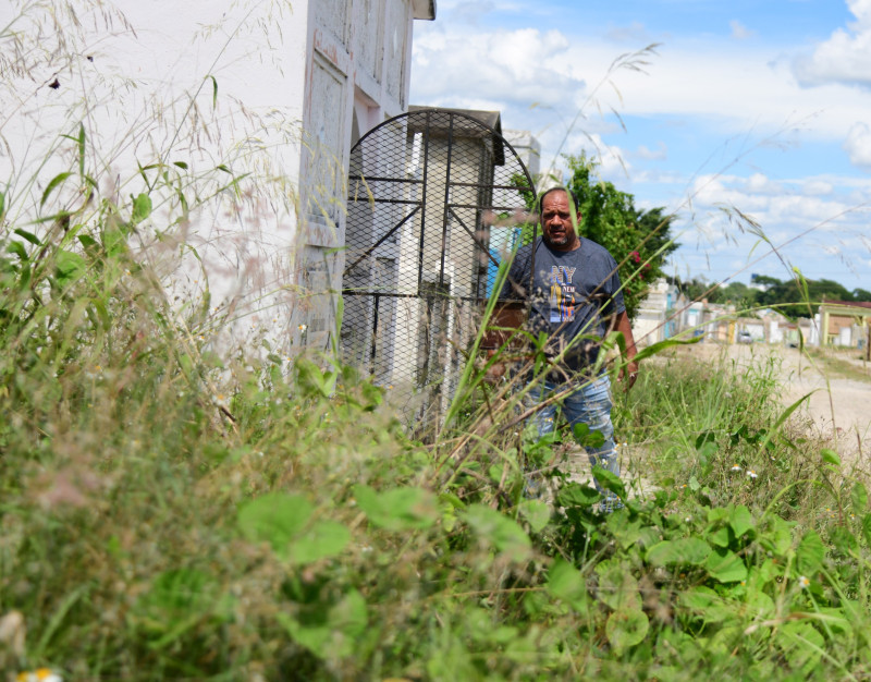 Fotografía muestra a Félix Hernández con su machete en mano cortando las plantas.