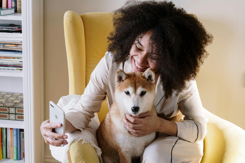 Algunas personas crean más contenido de mascotas que de sí mismos. Foto: Cottonbro Studio