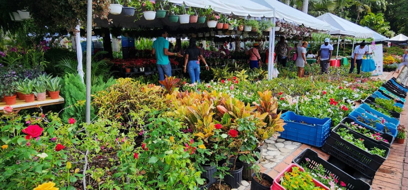 El festival es esperado cada año por los amantes de las plantas.