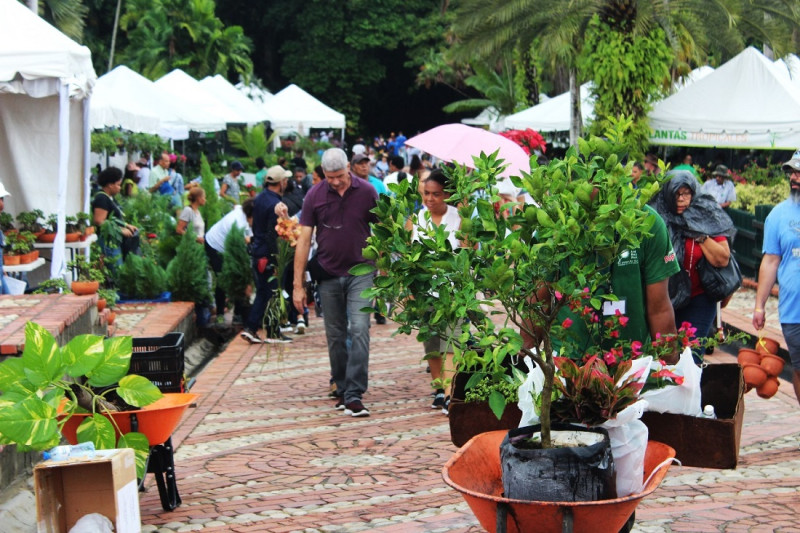 El festival promueve el conocimiento y usos de las plantas nativas y endémicas.