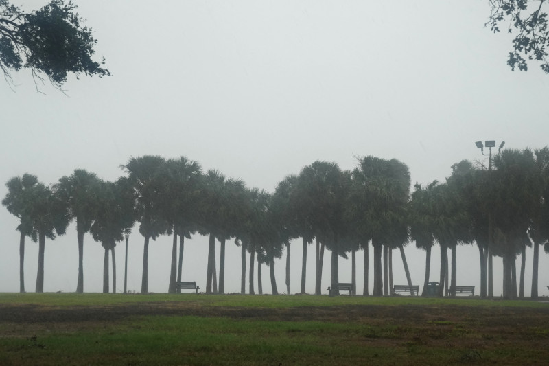 Palmeras en la niebla cayendo sobre Vinoy Park en San Petersburgo, Florida, mientras se espera que el huracán Milton toque tierra a última hora del 9 de octubre de 2024 en Florida. Los residentes de Florida huyeron o simplemente se refugiaron en las últimas horas del miércoles antes de que el enorme huracán Milton azotara el estado, mientras los esfuerzos de ayuda de emergencia del gobierno se arrastraban al centro de las elecciones estadounidenses.