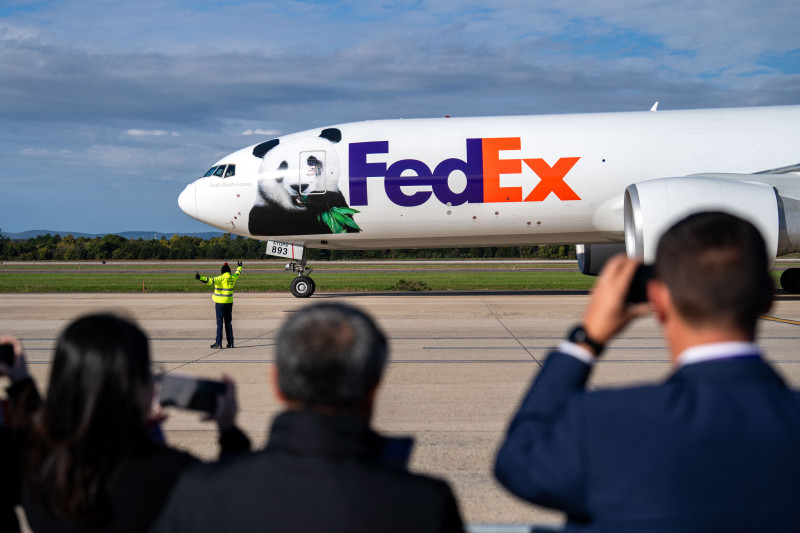 Un par de pandas gigantes de 3 años, Bao Li y Qing Bao, llegan en un avión FedEx Boeing 777 desde China al Aeropuerto Internacional de Dulles el 15 de octubre de 2024 en Dulles, VA.