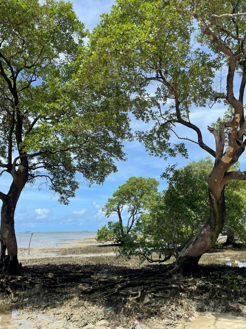 Cambio climático