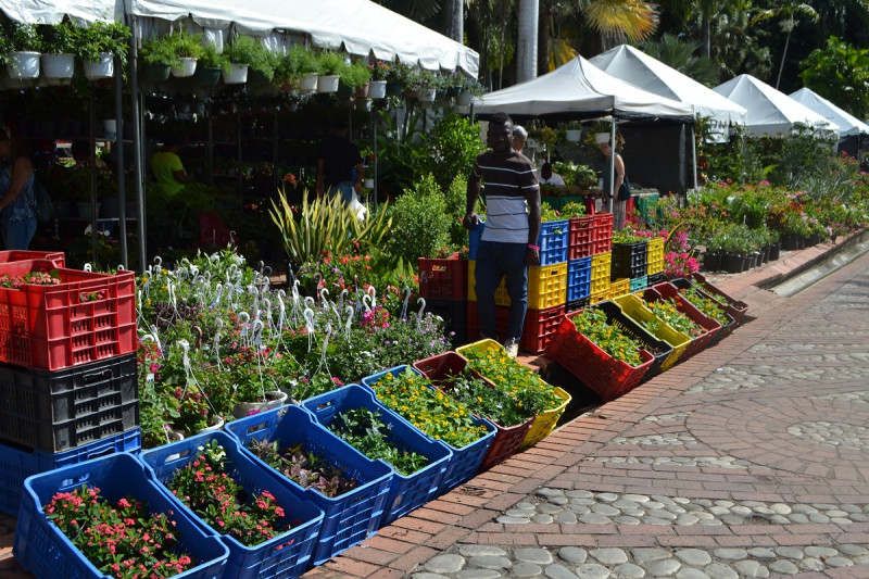 Festival Nacional de Plantas y Flores