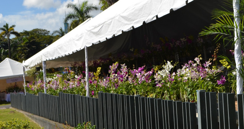 Festival Nacional de Plantas y Flores