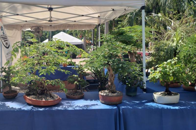 Festival Nacional de Plantas y Flores