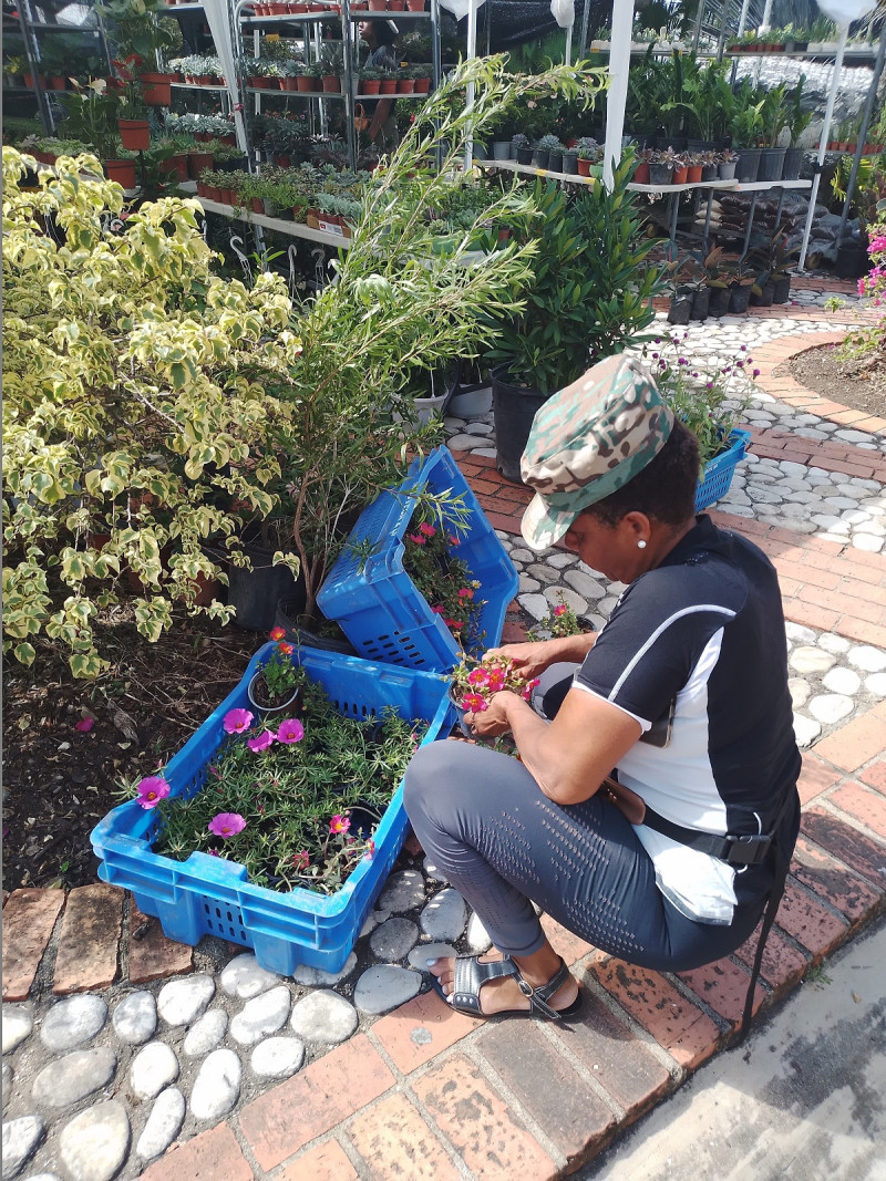 Festival Nacional de Plantas y Flores