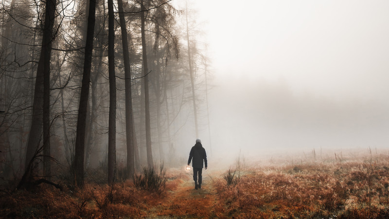 Hombre caminando junto a bosque con niebla. Foto Rawpixel, Luke Stackpoole-Freepik.