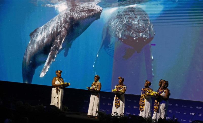 Presentación artística durante la inauguración de la COP16 ayer domingo.