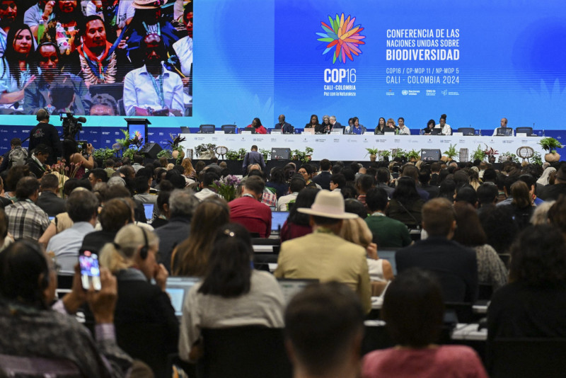 Vista general de la ceremonia de apertura de la cumbre COP16 en Cali, Colombia, el 21 de octubre de 2024