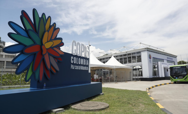 Entrada a la Zona Azul de la COP16 en Cali, Colombia.