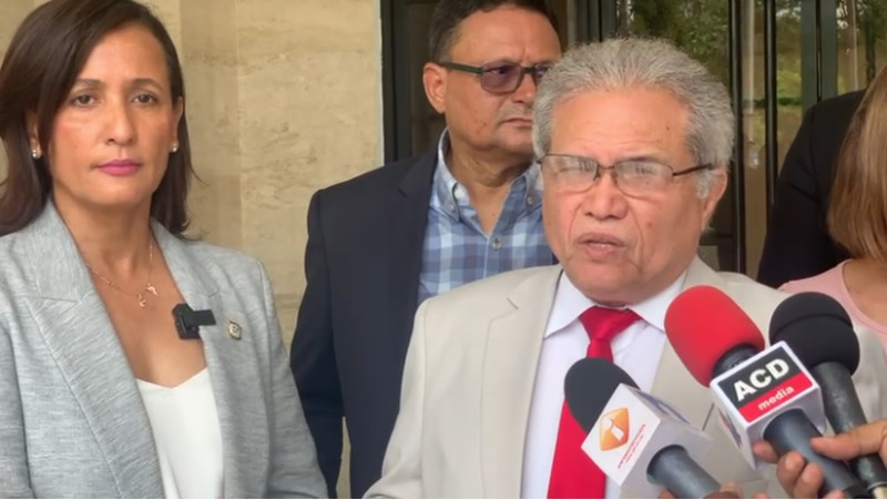 El presidente del Colegio Médico Dominicano, Waldo Ariel Suero, al hablar a periodistas en el Congreso Nacional