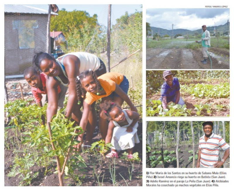 1) Flor María de los Santos en su huerto de Sabana Mula (Elías Piña). 2) Israel Amancio riega su huerto en Batista (San Juan). 3) Adelio Ramírez en el paraje La Peña (San Juan). 4) Alcibíades Morales ha cosechado ya muchos vegetales en Elías Piña.