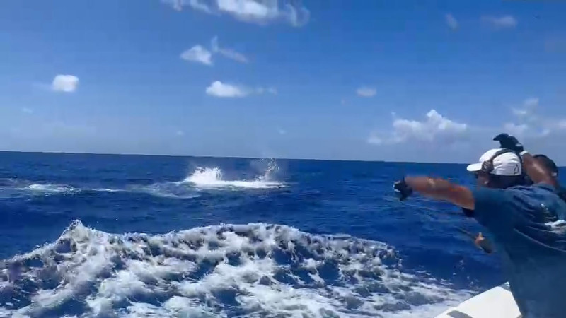 La emoción se hace presente cuando el pescador retorna la pieza a su habitat.